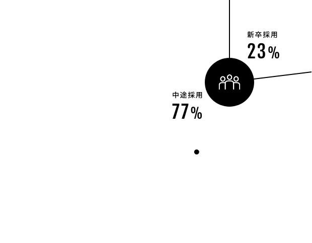 採用実績