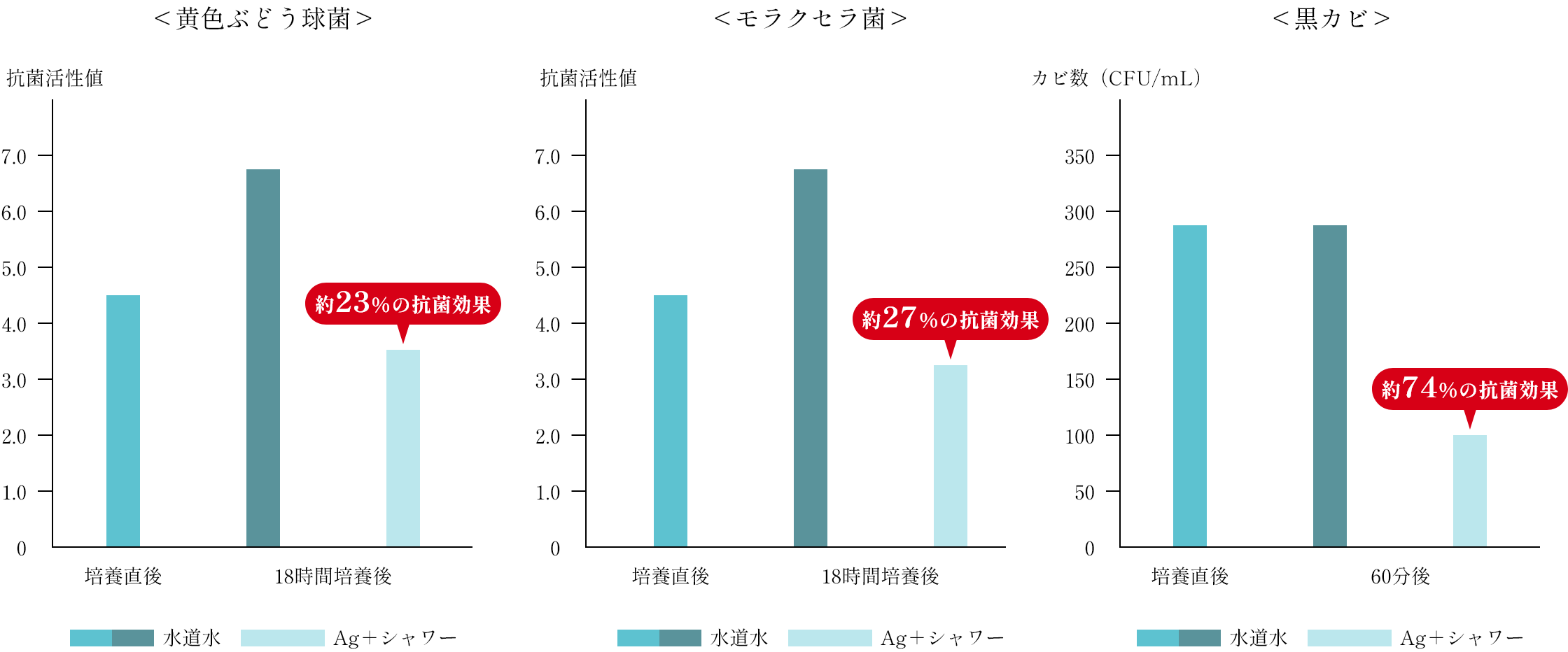 ｸﾞﾗﾌ
